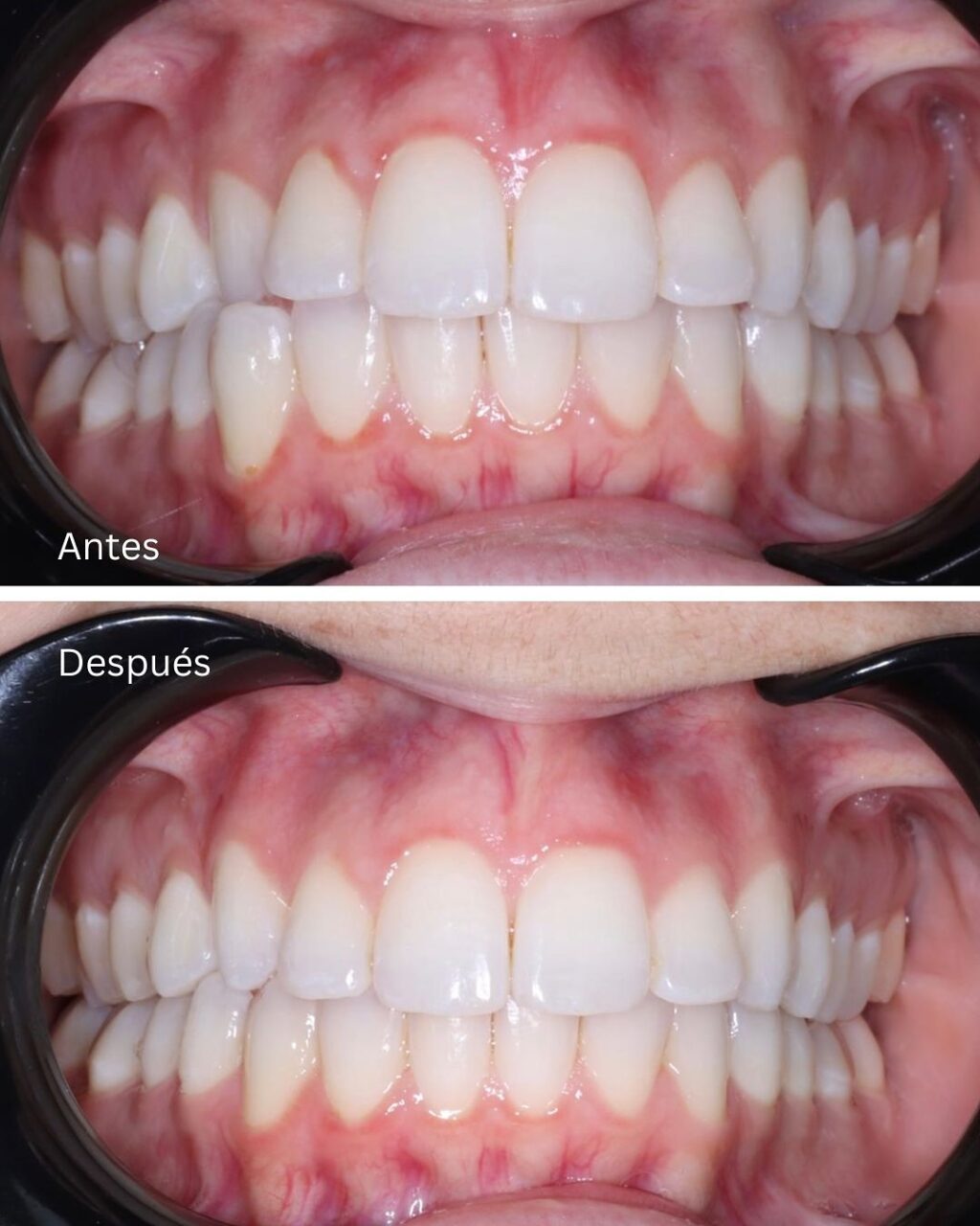 Instagram post from madenta.pa. This post is in position 6.