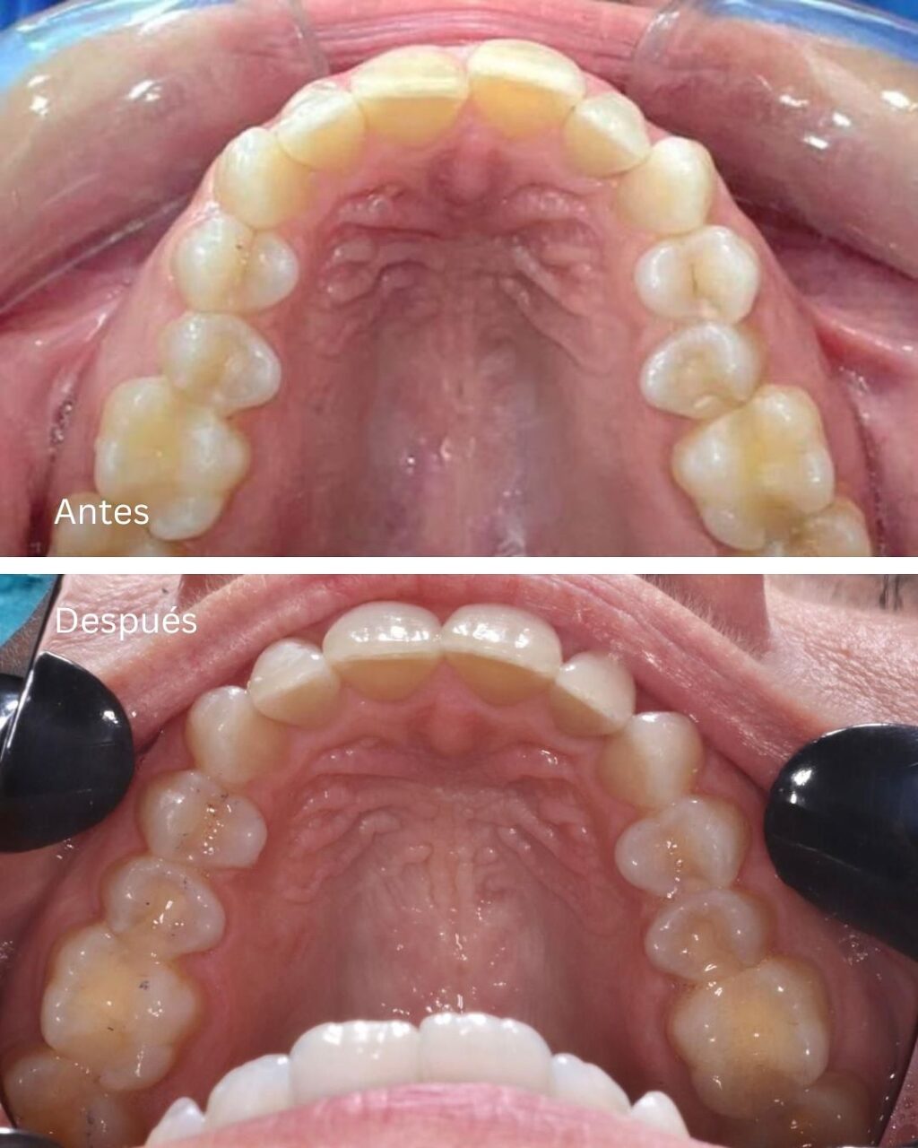 Instagram post from madenta.pa. This post is in position 4.