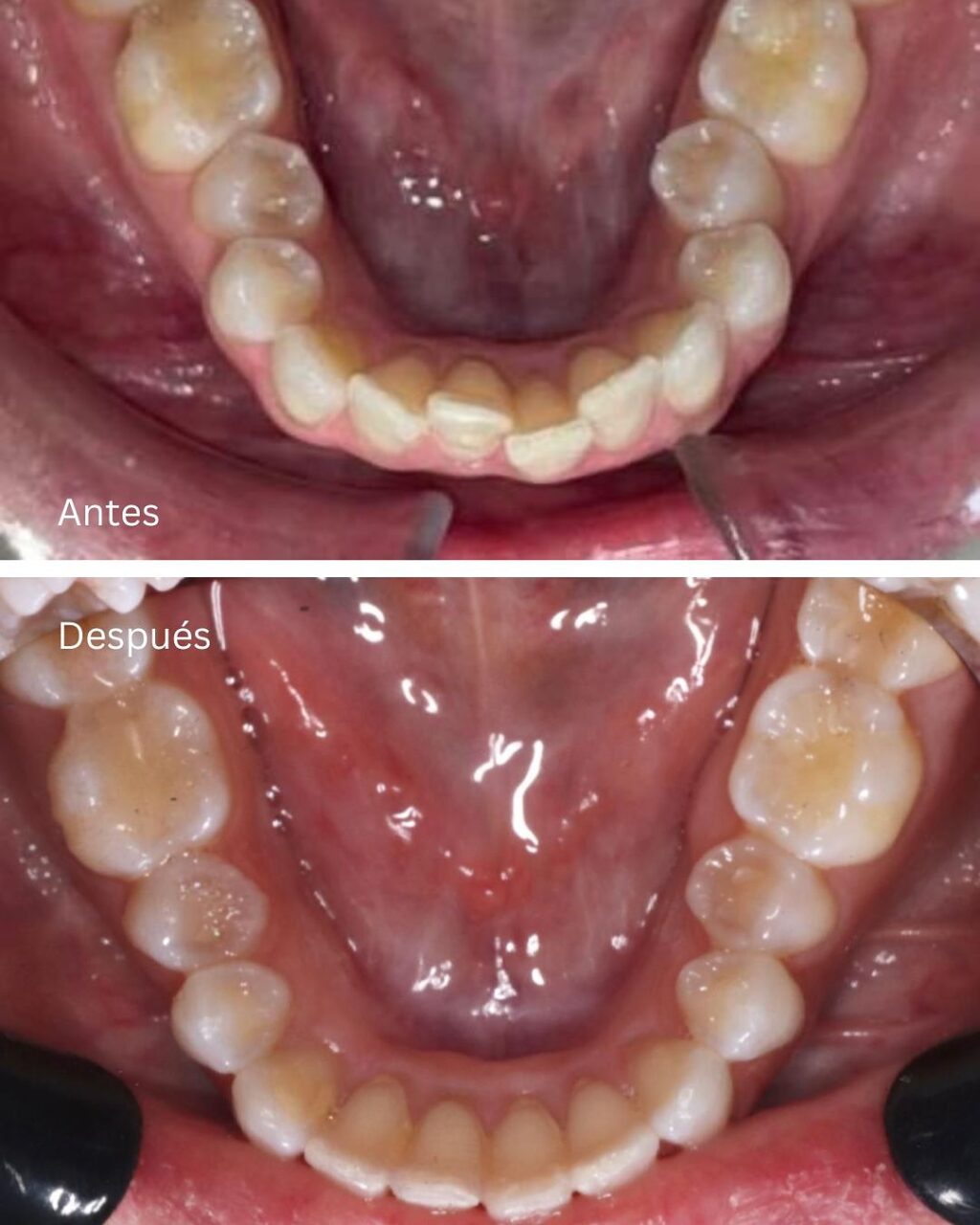 Instagram post from madenta.pa. This post is in position 2.