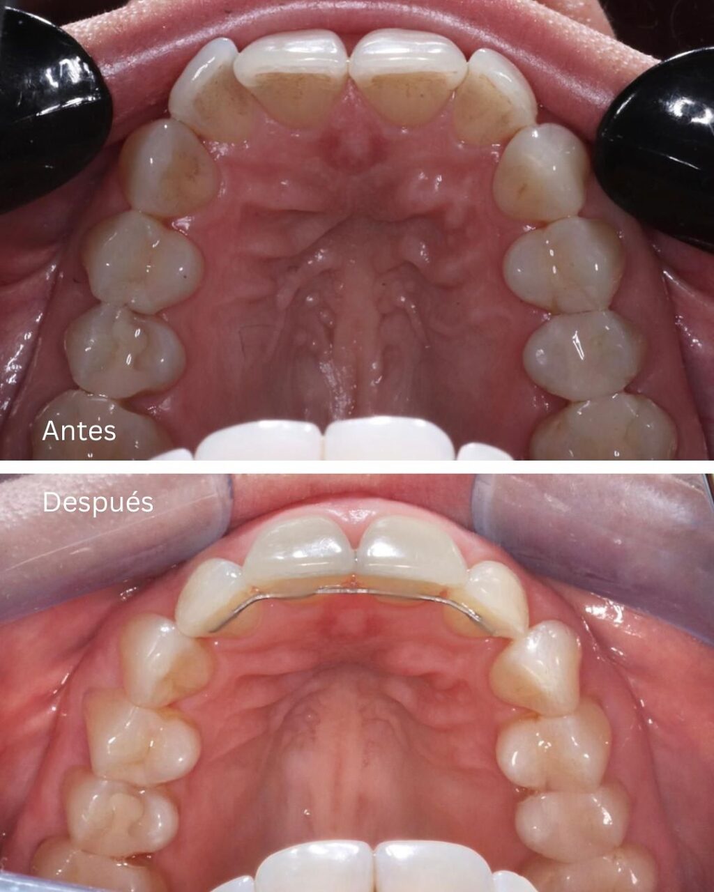 Instagram post from madenta.pa. This post is in position 3.