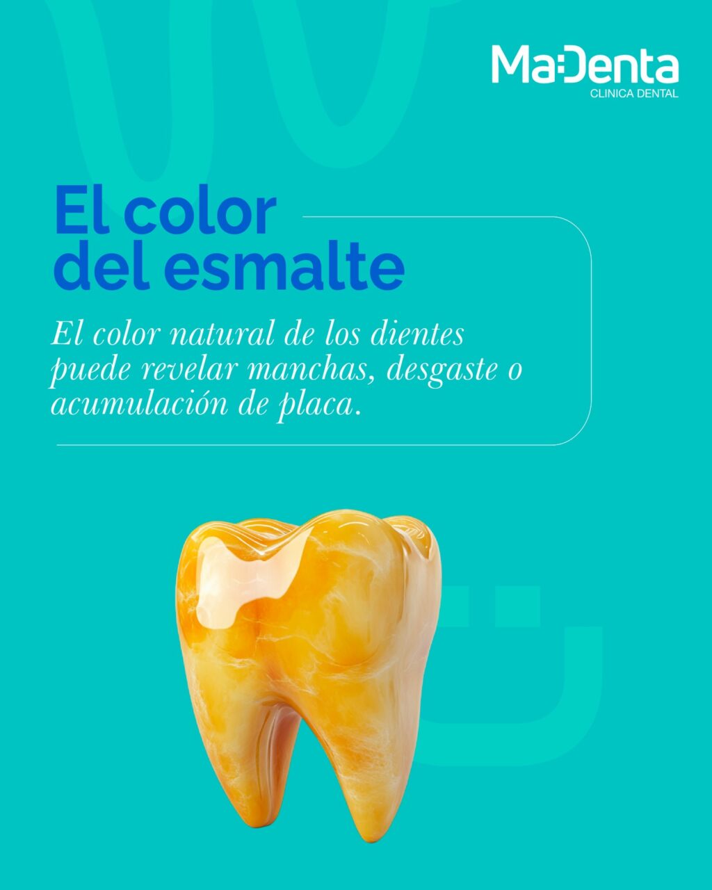 Instagram post from madenta.pa. This post is in position 2.