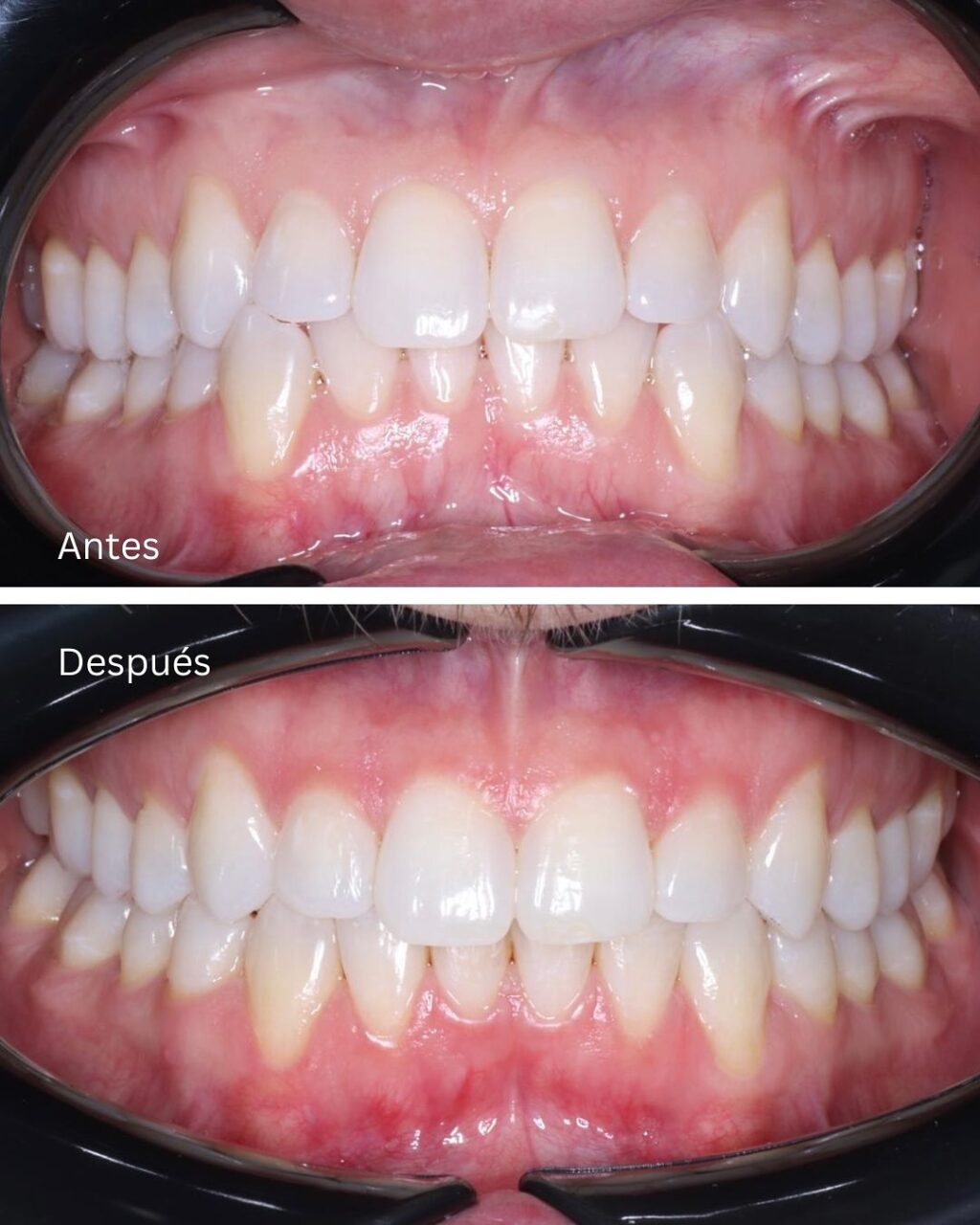 Instagram post from madenta.pa. This post is in position 5.